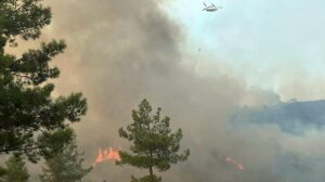 Muğla’da orman yangını kontrol altında