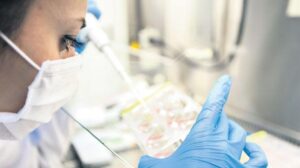 Patentte uluslararası başvuru arttı