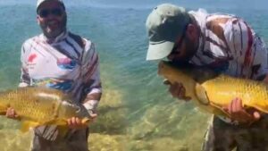 Sahile Yakın Anlar: Oltayla Yakalanan Dev Sazan ve Yunuslarla Heyecanlı Tekne Gezisi