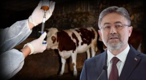 Şap Hastalığındaki Gelişmeler ve Hayvan Pazarlarının Kademeli Açılışı