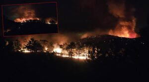 SON DAKİKA Mersin’deki orman yangını 2’nci gününde! Vali Toros son durumu açıkladı