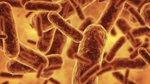 Syn57: 64 Kodondan 57’siyle Yaşamın Minimalist Bir Genetik Planı