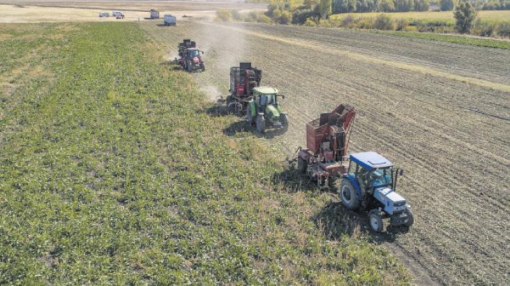 Tarım Sayımı İçin Türkiye Genelinde Büyük Hazırlık: TÜİK ve Tarım ve Orman Bakanlığı İşbirliğinde Verilerin Toplanması