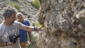 Tunceli’de Biyoçeşitliliğin İzinde: Prof. Dr. Metin Armağan’ın Yeni Tür Keşifleri ve Nesli Tükenen Bitkiler