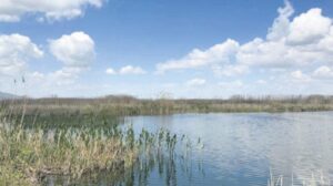 Ulusal Su Kurulu 2024 Toplantısında Kuraklıkla Mücadelede Yeni Yol Haritası ve Göl Eylem Planları