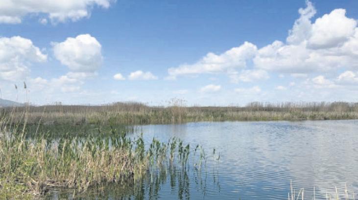 Ulusal Su Kurulu 2024 Toplantısında Kuraklıkla Mücadelede Yeni Yol Haritası ve Göl Eylem Planları