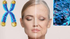 Yaşlanma, kanser ve ölümde kilit rol oynuyor! Telomerler uzatılabilir mi?