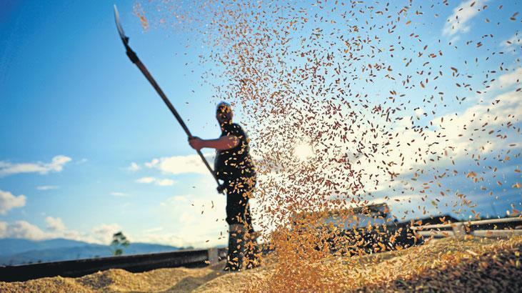 2025-2027 Bitkisel Üretim ve Tarımsal Destekler İçin Değişiklikler: 2026 Üretim Yılı Katsayıları ve Yeni Teşvikler