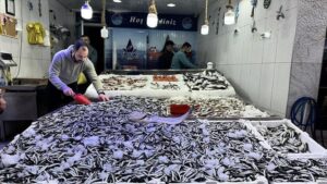 Açılan Karadeniz Kapısında Hamsi Bereketi: Tezgahlarda Yoğun Hasat ve Uygun Fiyatlar