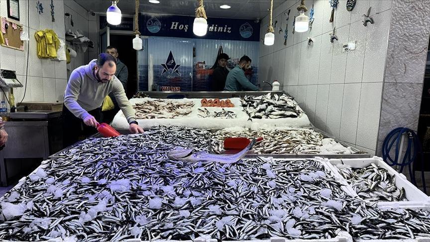 Açılan Karadeniz Kapısında Hamsi Bereketi: Tezgahlarda Yoğun Hasat ve Uygun Fiyatlar