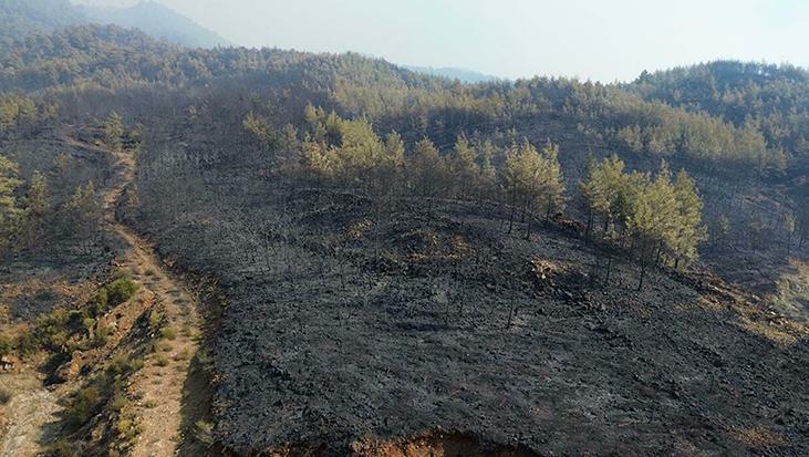 Akköprü ve Çevresinde Yaşanan Orman Yangını: 63 Saatlik Mücadele ve Sonuçlar