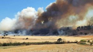 Akköy ve Güllüce’de Zeytinlikte Başlayan Yangın ve Sonrasındaki Müdahale