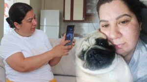 Alf/D.T. Olayı: Otel Konaklamasında Veterinary Ölümü ve İddialar