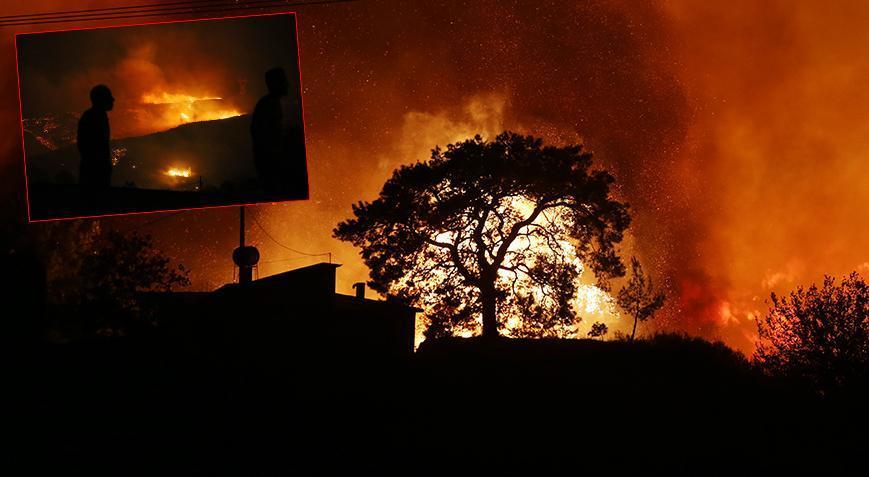 Aliefendi ve Milas’ta Orman Yangınları: Ekipler ve Tedbirler Devrede