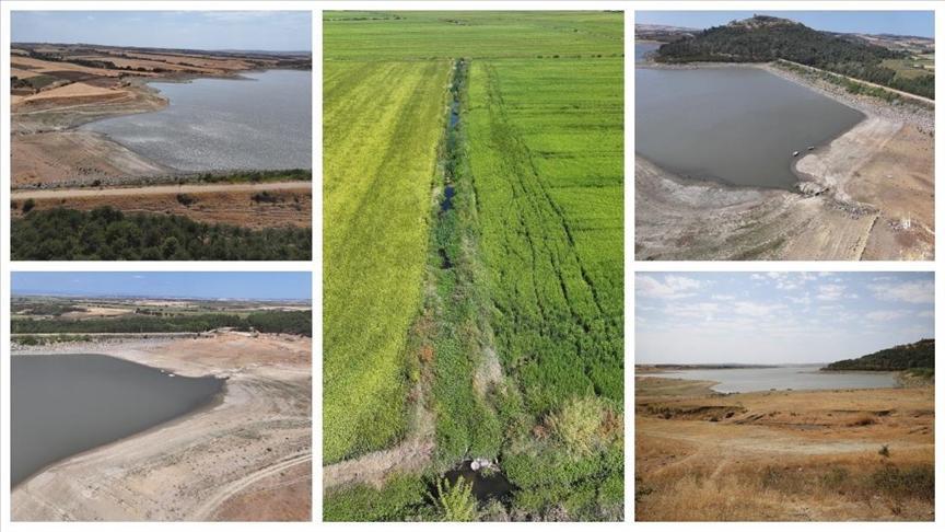 Altınyazı Barajı ve Meriç Nehri Kışı Güvenceye Çeviren Su