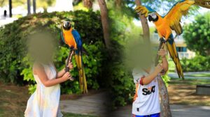 Antalya Otellerinde Papağanla Fotoğraf Yasağı ve Turizmde Yükselen Endişeler