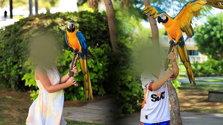 Antalya Otellerinde Papağanla Fotoğraf Yasağı ve Turizmde Yükselen Endişeler