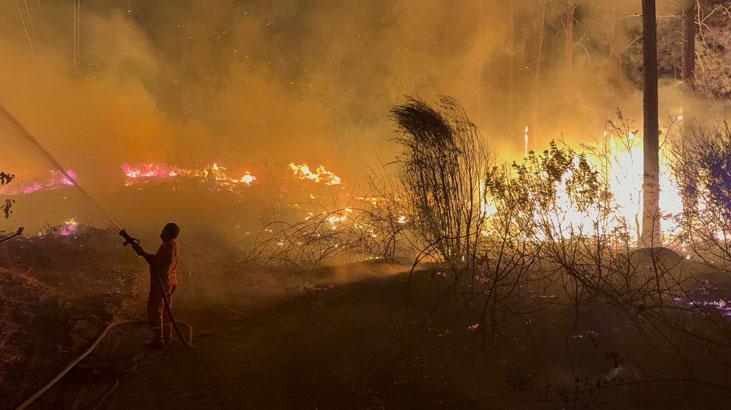 Antalya’daki Sazlık Yangını ve Ardından Gelen İkincil Olay