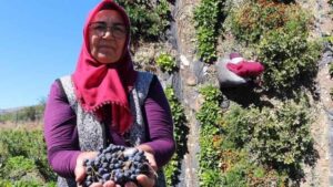 Aronya Bahçesiyle Kalbe Dokunan Usta Bahçeci: Güllü Güller’in Hikayesi