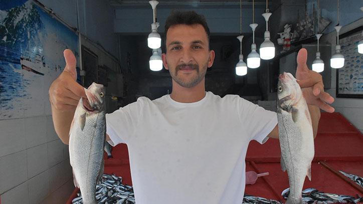 Balık Tezgahlarında Sardalya Bereketi: Fiyatlar ve Mevsimsel Gelişmeler