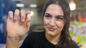 Balık Tezgahlarında Şifa ve Lezzet: Başlıktaki Taşların Hikayesi