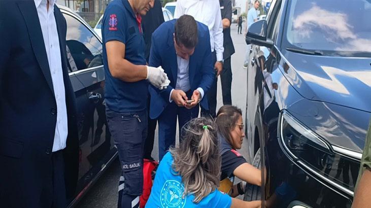 Balıkesir’de Konvoydaki Kedinin Kurtarılma Anı ve Sağlık Kontrolü