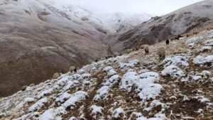 Başkale’de Sağanak Sonrası Yükselen Kar Manzaraları ve Yedigöller’de Büyüleyici Kış