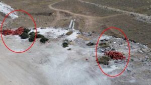 Boş Araziye Dökülen Soğanlar: İhbarla İnceleme Başlatıldı