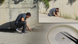 Çankırı’da Kara Yosunu Türüyle İlgili Yeni Bir Kayıt ve Yayılış Analizi