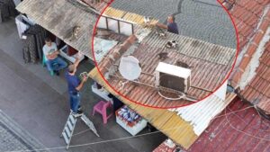 Çatıda Yaşayan Dostlar İçin Özverili Yardım: Günde Bizimle Biten Bir Sevgi Hikayesi