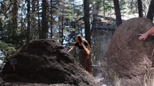 Çığlıkara: Sedirin Koruyucuları ve Bölgenin Biyolojik Müzakere Noktası