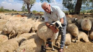 Çobanlık Fiyatlarındaki Artış ve Hayvancılığın Kıyısında Kaybedilen Zaman