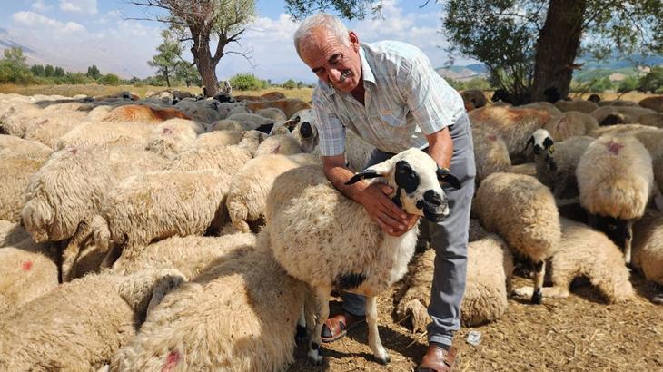 Çobanlık Fiyatlarındaki Artış ve Hayvancılığın Kıyısında Kaybedilen Zaman
