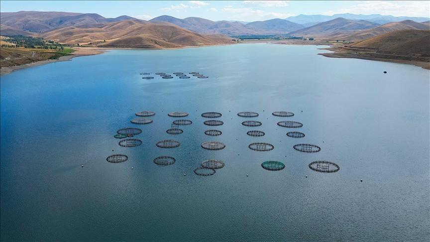 Demirözü Barajı ve Bayburt’un Balıkçılık Gegenliği: İhracata Yönelen Üretim Hikâyesi