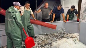 Denizlere Giriş Yapan Balıkçılar: Sezonun İlk Avı ve Bereketli Kayıtlar