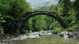 Doğu Karadeniz’de Yaşanan Sel Baskını: Yol Kapalı, Tarihi Köprüler Çöktü