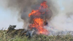 Düden Çayı Sazlık Alanında Yangın: Halkın Müdahalesi ve Itfaiye Operasyonu