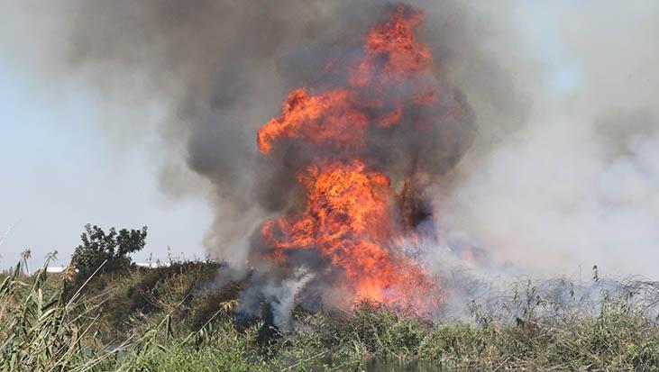 Düden Çayı Sazlık Alanında Yangın: Halkın Müdahalesi ve Itfaiye Operasyonu