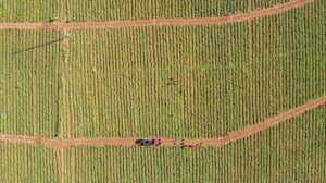 Elazığ’da Yola Çıkan Siverekli Ailelerin Tarımsal Başarı Hikayesi ve Dağıtımı