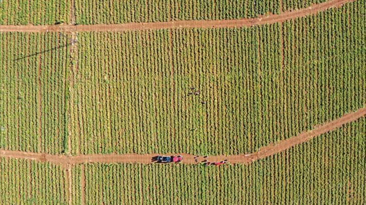 Elazığ’da Yola Çıkan Siverekli Ailelerin Tarımsal Başarı Hikayesi ve Dağıtımı