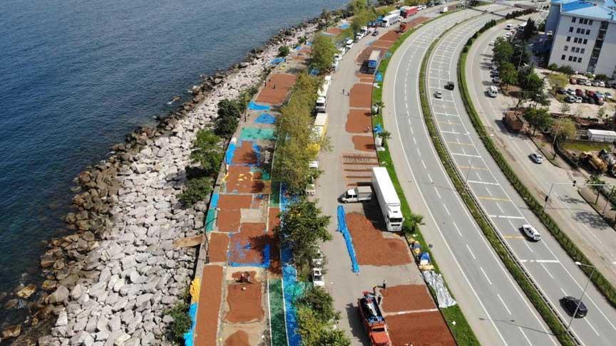 Fındık Kurutmada Zamanlama ve Piyasa Baskısı: Üreticilerde Endişe ve Uyarılar