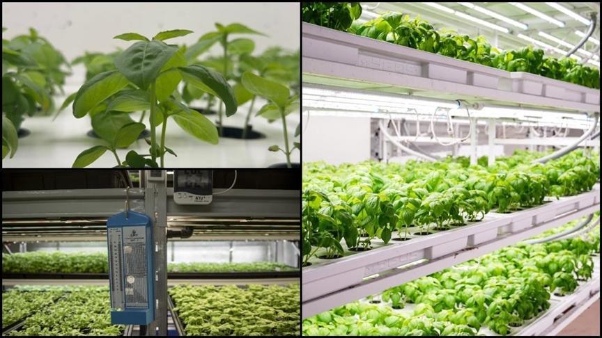 Gelecek İçin Tarımsal Verimlilik ve Sürdürülebilirlik: 2026-2028 Yol Haritası