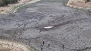 Göl Etkisi ve Kuraklık: Şerbettar Köyü’nde Su Yetersizliği ve Çözüm Talepleri