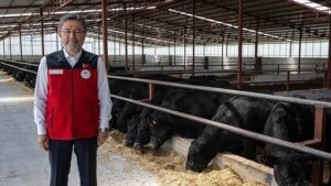 Hayvancılık Yol Haritası ve Desteklerde Yeni Dönem: Üretim İçin Kararlı Adımlar