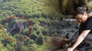 İnönü Mağarası Toprak Örneklerinde Antibiyotik Direnci ve Metagenomik Panorama