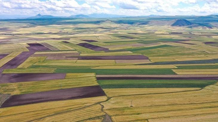 İşlenmeyen Tarım Arazilerinin Bakanlık Kiralama Programı: Uygulama, Amaçlar ve Şu anki Süreçler