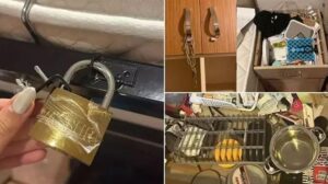 İstanbul Atatürk KYK Kız Öğrenci Yurdunda Yaşanan Olaylar ve Soruşturma Gelişmeleri