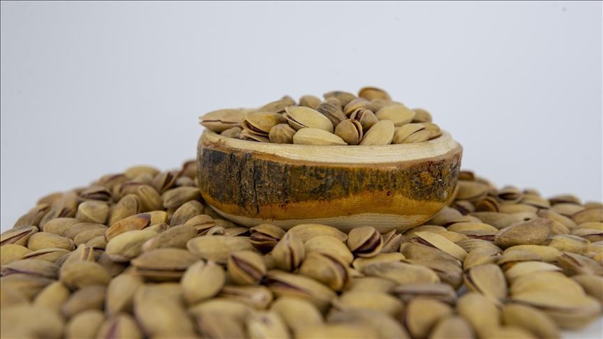 İthalat İzni ve Fıstık Fiyatları Üzerine Sektörel Değerlendirme: Stokçulukla Mücadelede Yeni Adımlar