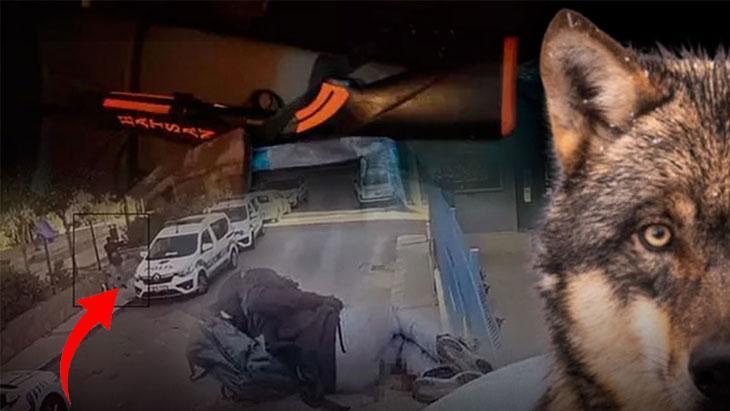 İzmir’deki Polis Merkezi Saldırısı ve ‘Yalnız Kurt’ Teorileri: Gençlerin Radikalleşmesi Üzerine Analiz