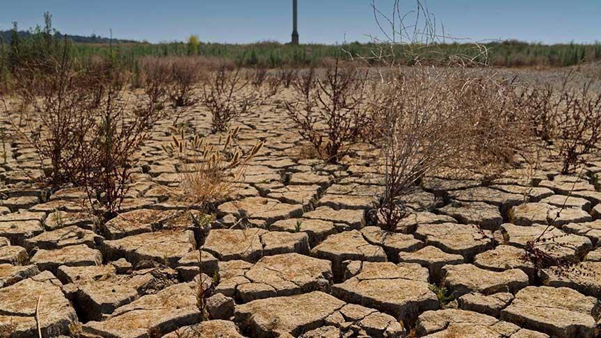 İzmir’in Su Kaynakları ve Yer Altı Suyu Üzerindeki Küresel Etkiler: Tuzlanma, Kaynak Yönetimi ve Dayanışma Gerekliliği